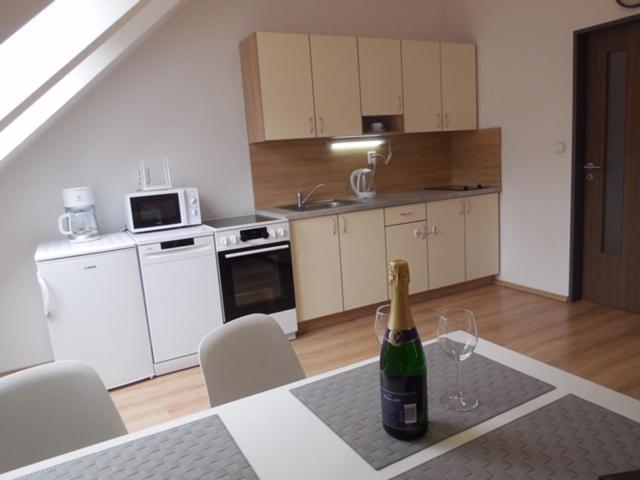 Apartman Kamenice Каменице-над-Липой Экстерьер фото