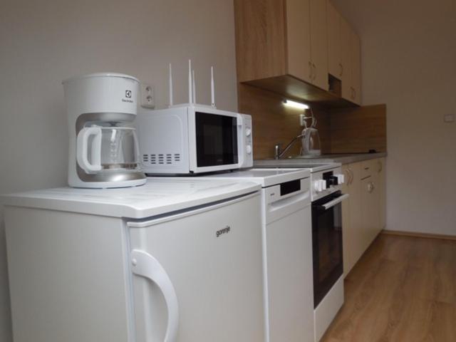 Apartman Kamenice Каменице-над-Липой Экстерьер фото